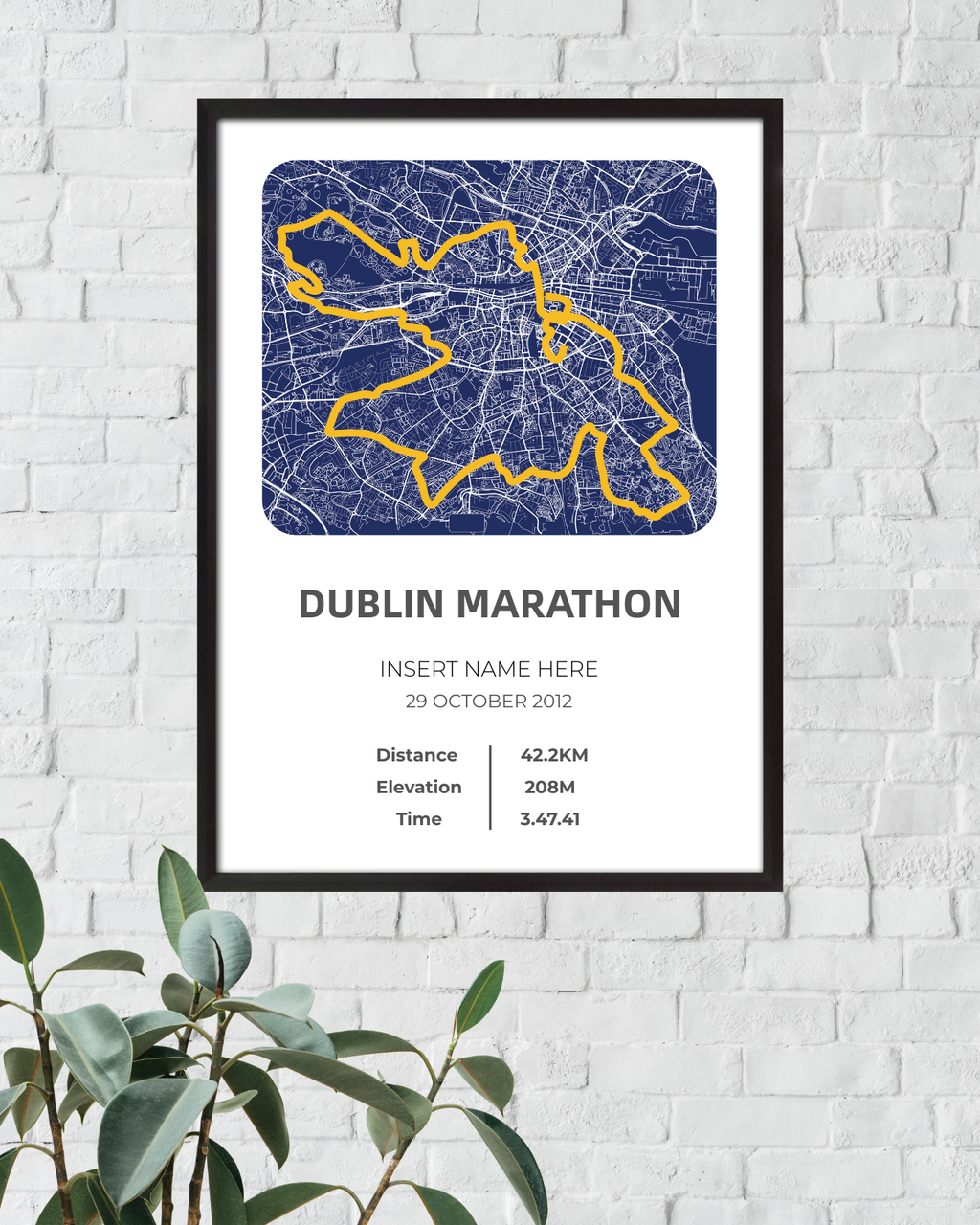 Dublin Full Marathon 2012