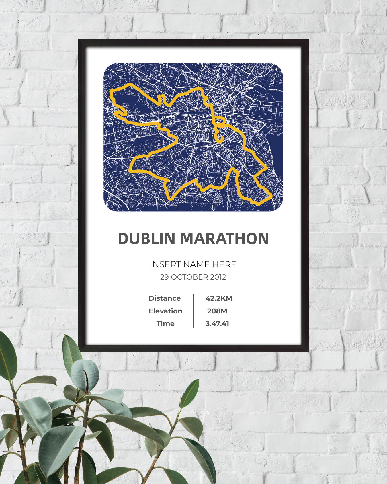 Dublin Full Marathon 2012