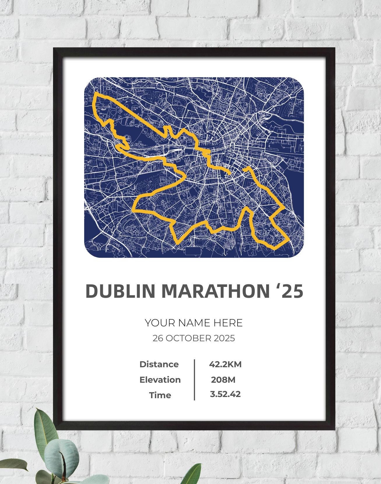 Dublin Full Marathon 2025
