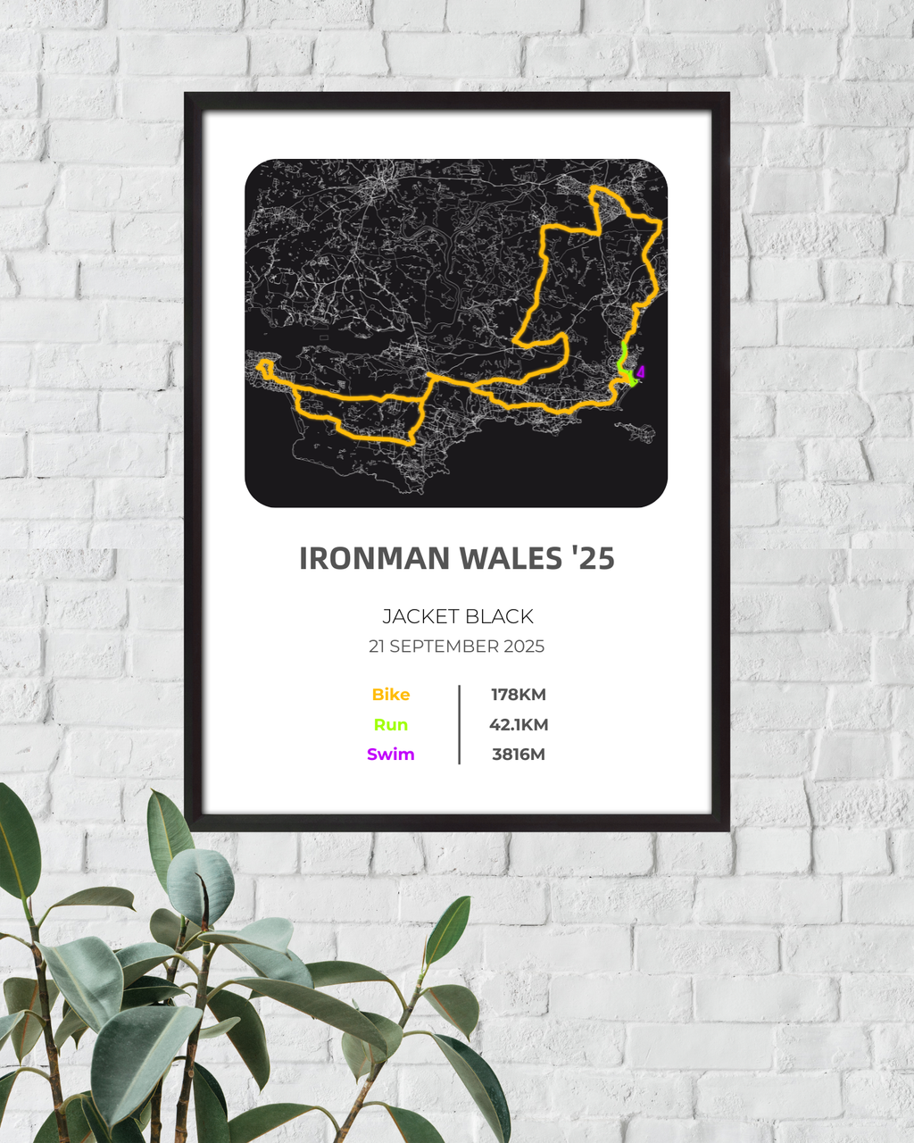 Custom request: Ellen